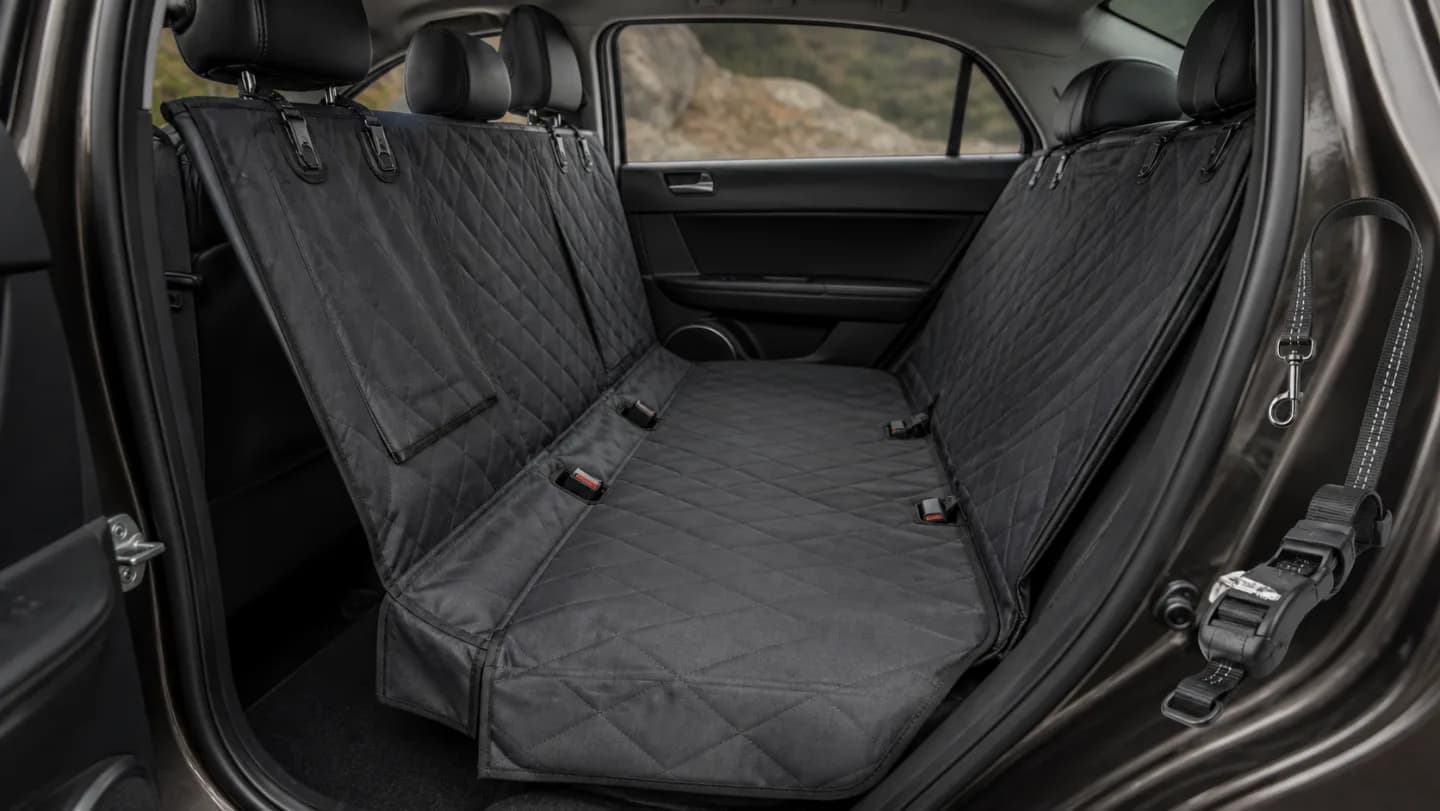 Editorial car rear bench with a fitted dog seat cover, headrest straps, seat anchors, visible belt buckles, door flaps, and a separate crash-tested restraint path